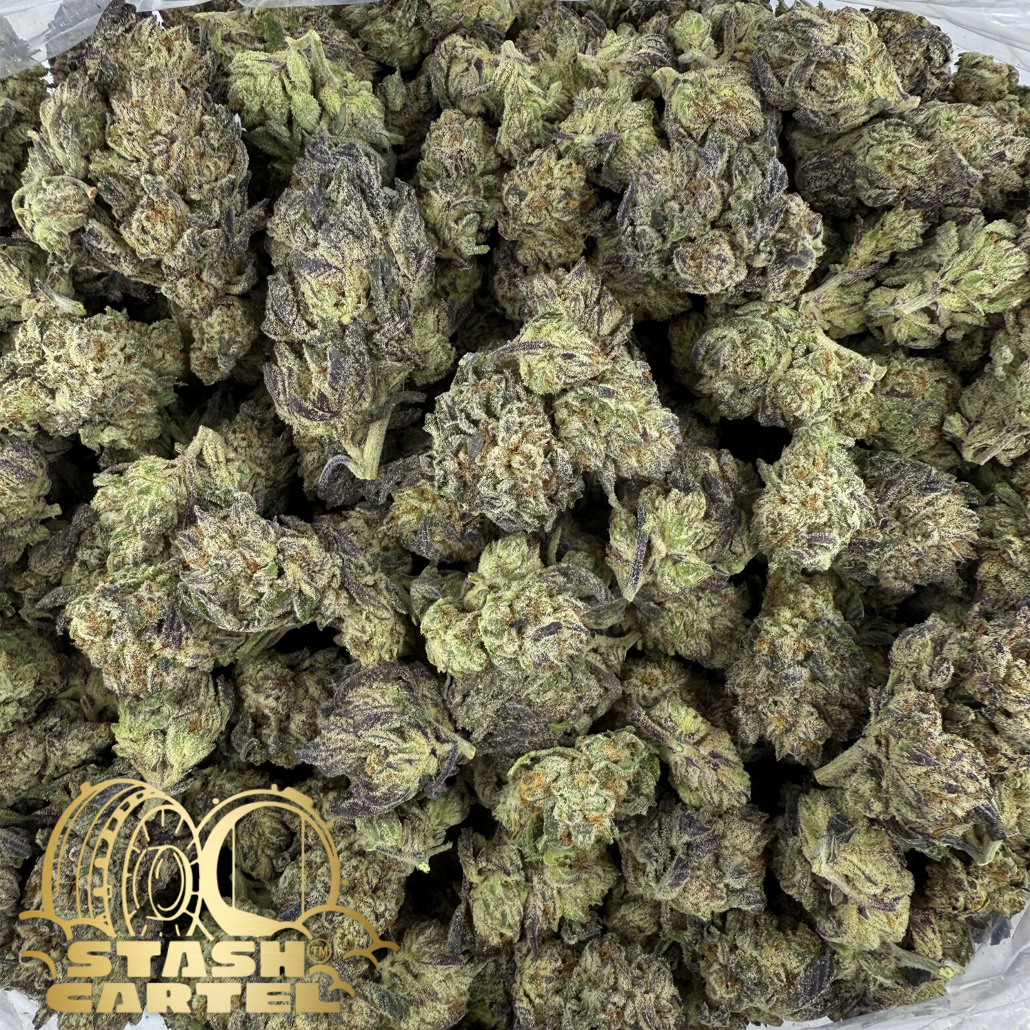 Gush Mintz – Hybrid Flower