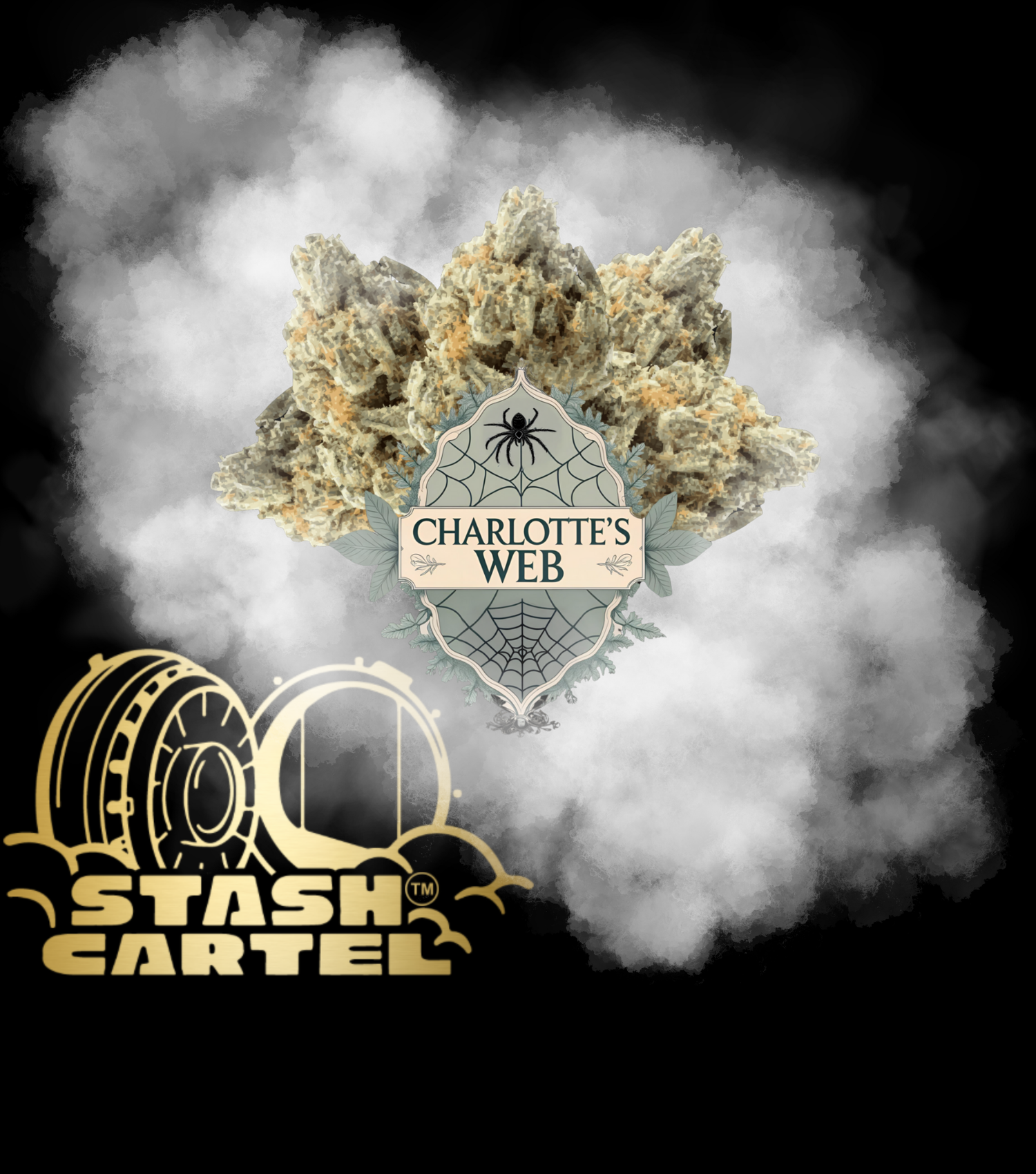 Charlotte’s Web (Sativa) 🌿📖
