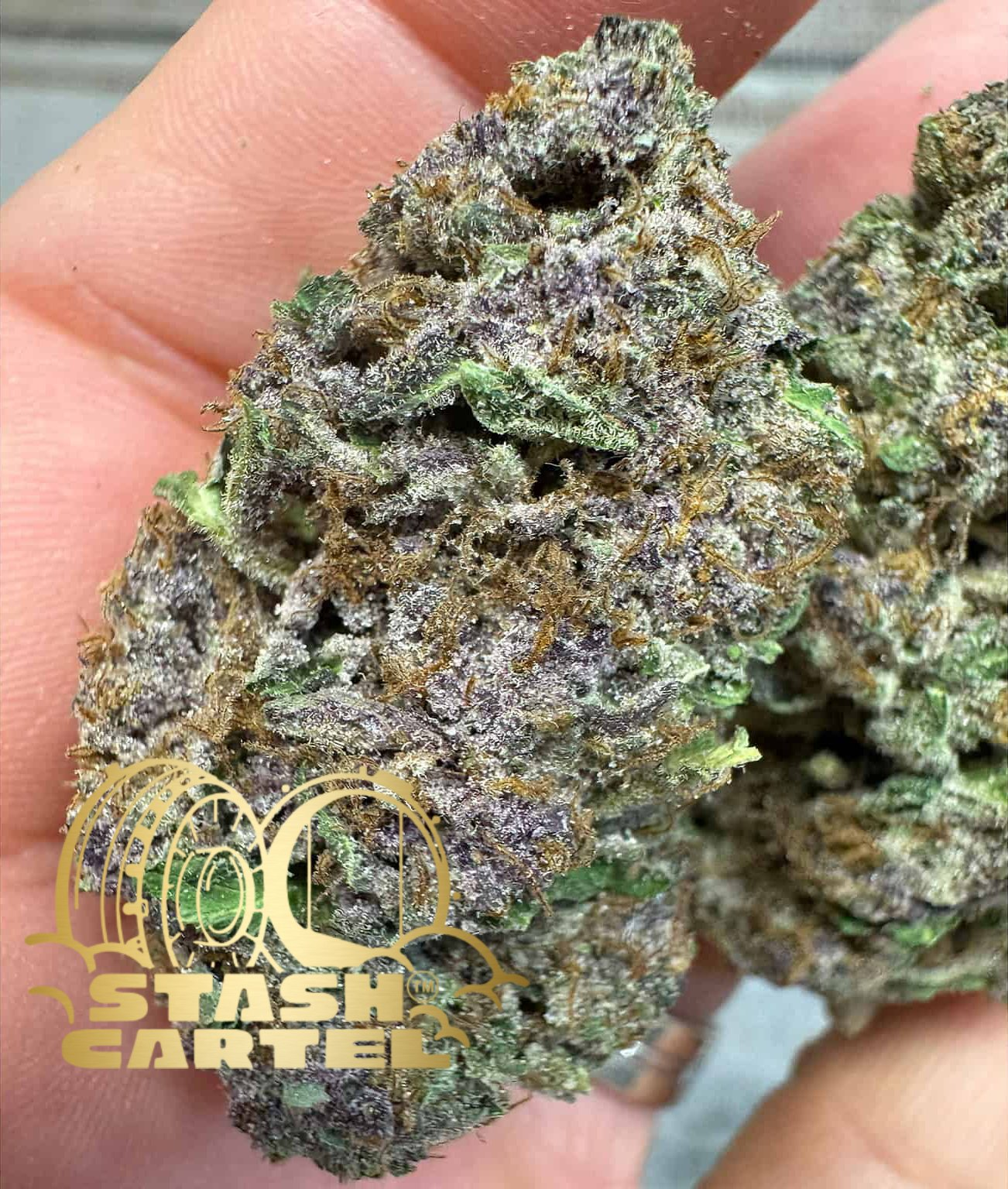 Top Selling THCa Strains – Trusted by the Streets & Shops