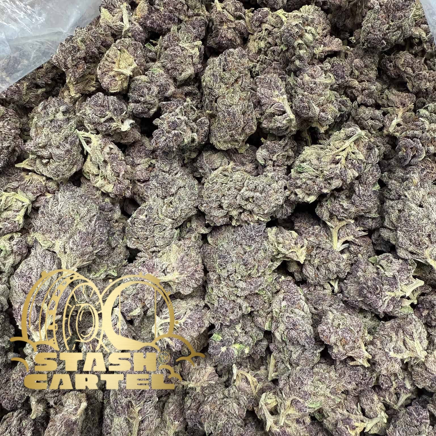 Bulk THCa Hemp Flower & Extracts – Wholesale Pricing