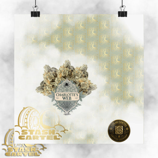 🕸️🌱 Charlotte’s Web Poster – High-CBD Wellness Wall Art with Purpose
