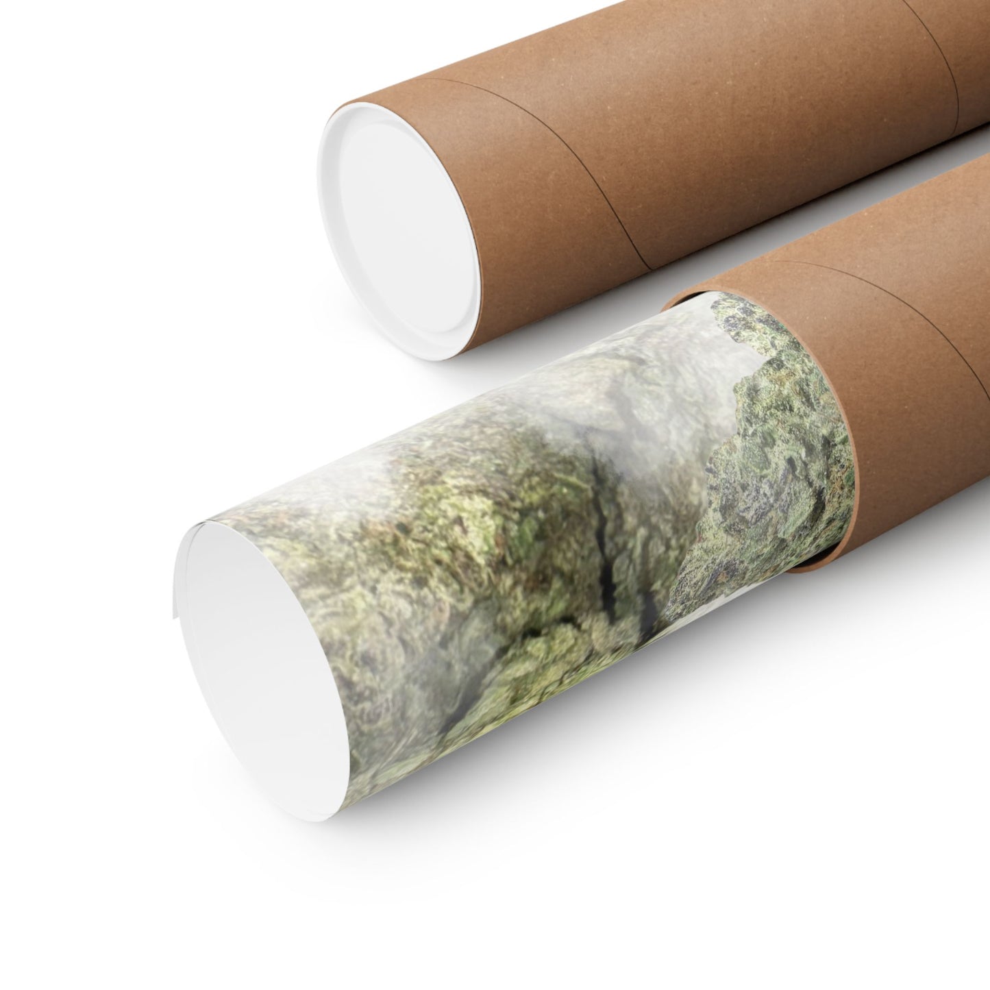 🍹🌺 Papaya Punch Poster – Sunset Indica Poster for Chill & Flavor