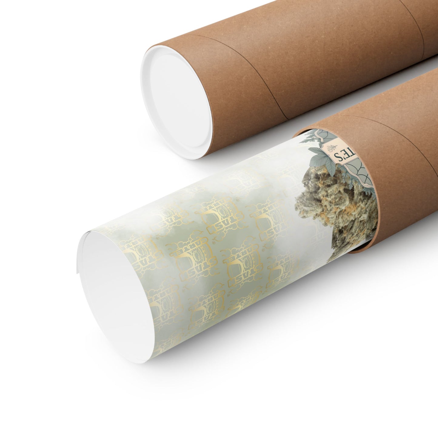 🕸️🌱 Charlotte’s Web Poster – High-CBD Wellness Wall Art with Purpose