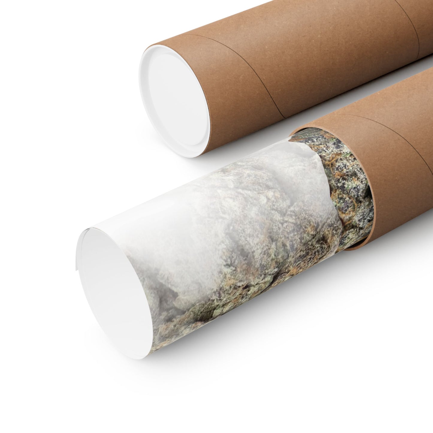 📦🔥 Super Boof Poster – Loud Hybrid Poster with Zesty Gas & Heavy Terps