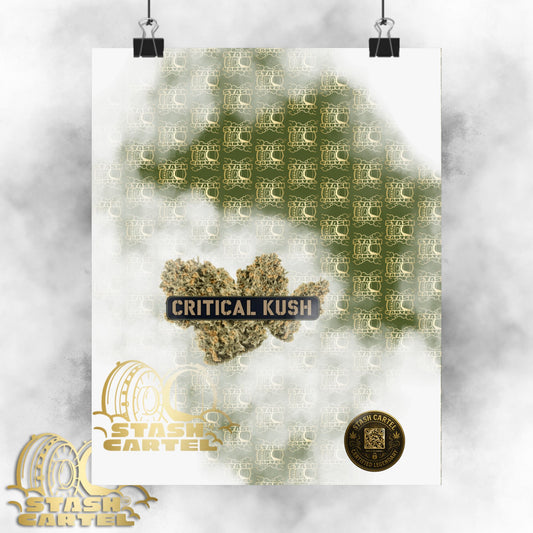 💣🌲 Critical Kush Poster – Classic Indica Wall Art with Spicy Earth & Knockout Calm