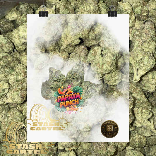 🍹🌺 Papaya Punch Poster – Sunset Indica Poster for Chill & Flavor