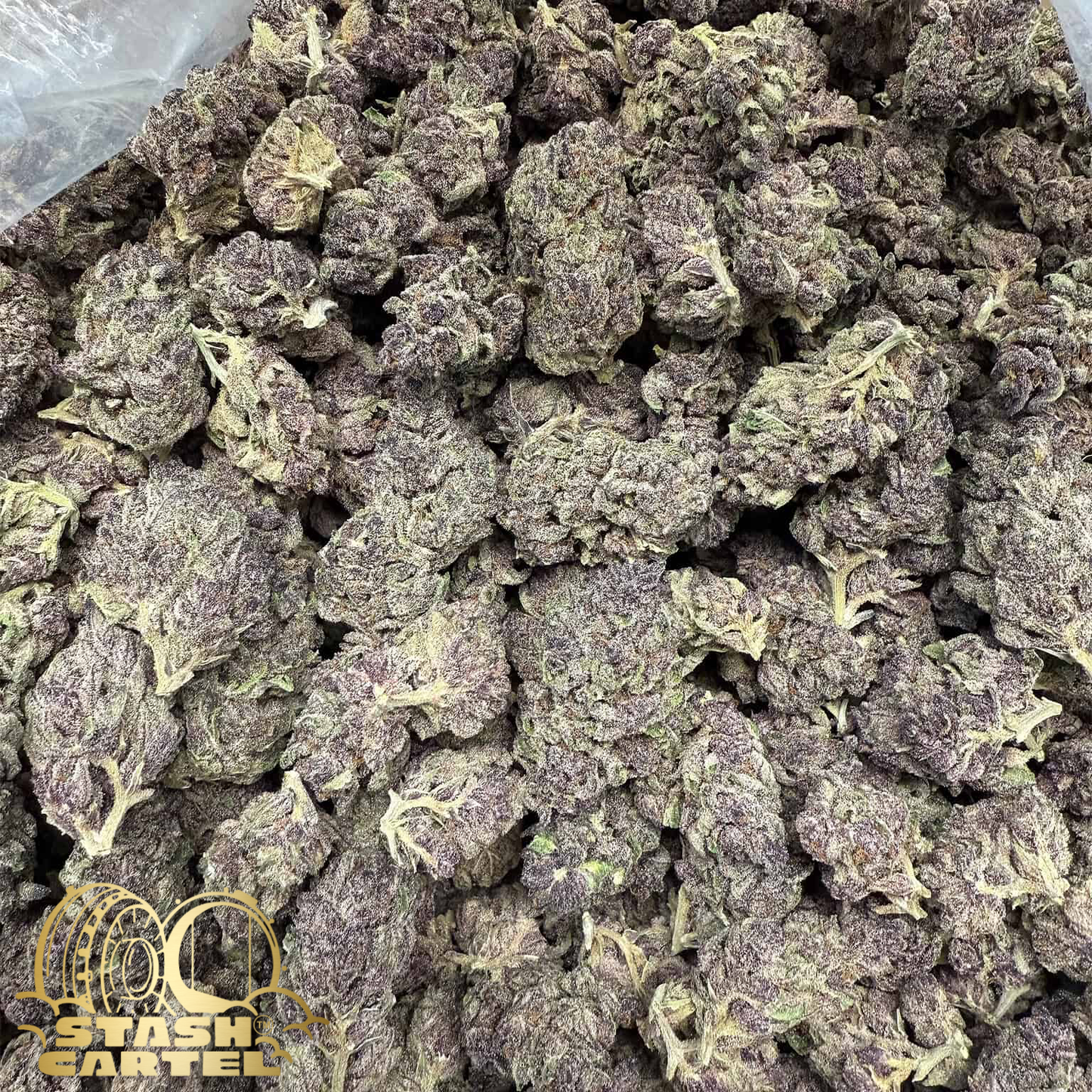 Gorilla Skunk – Hybrid Flower
