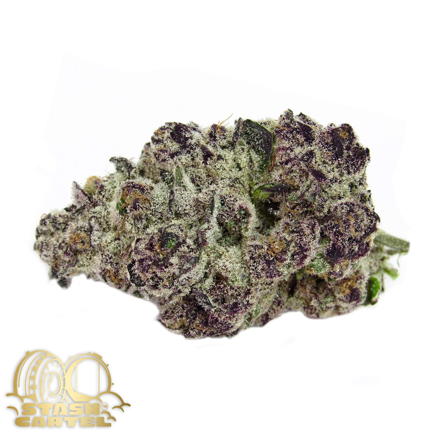 Gorilla Skunk – Hybrid Flower