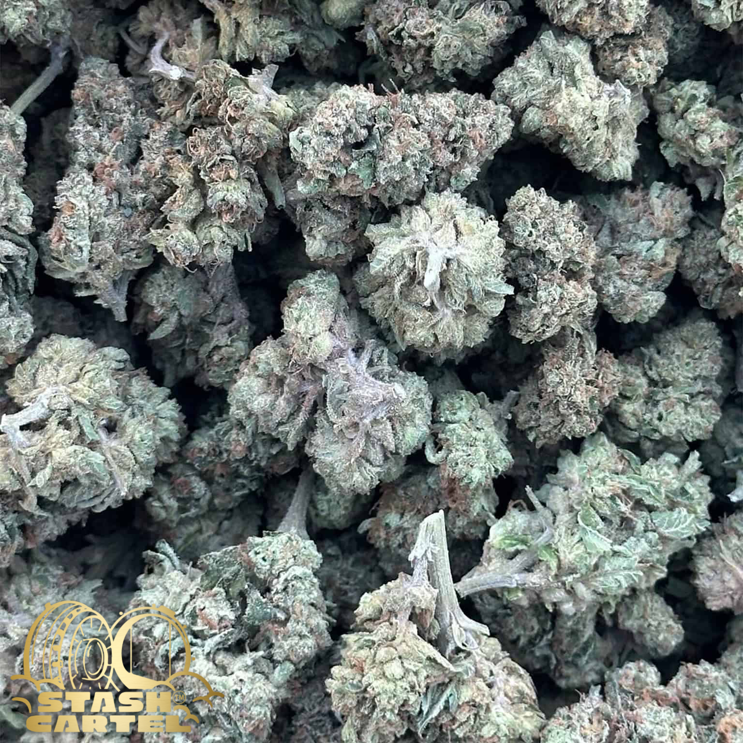 Grape Ape – Indica Flower