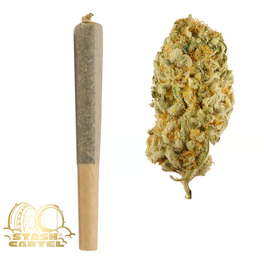 🌲 Jack Herer THCA Pre Rolls