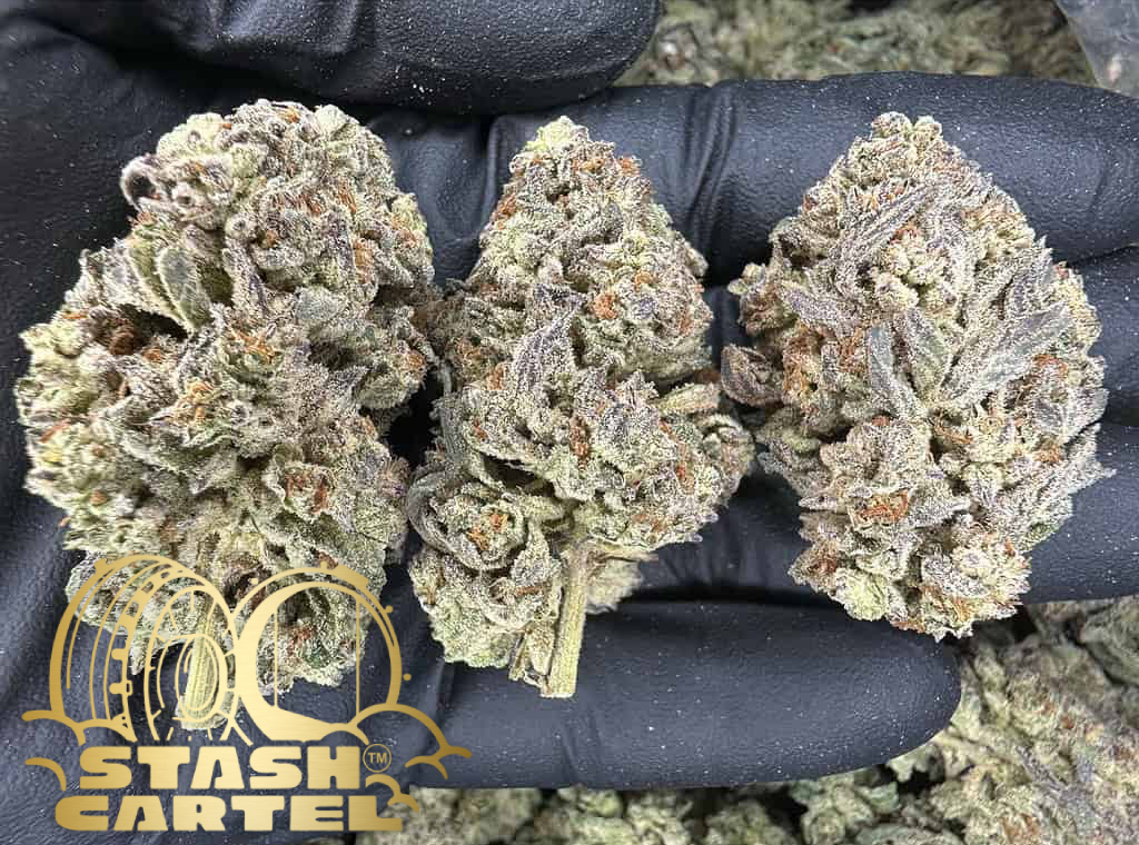 Moonbow – Boutique Hybrid Flower