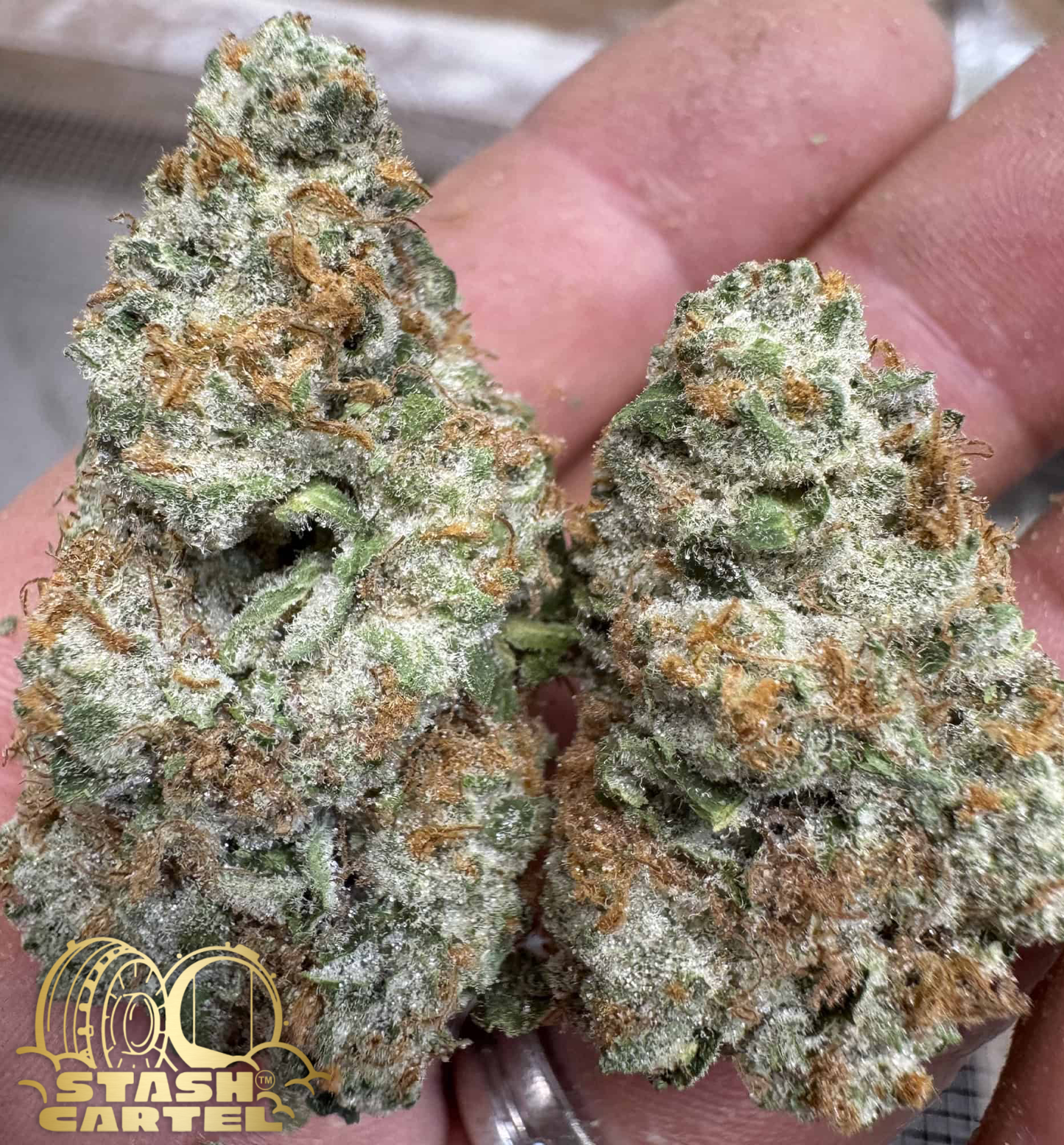 OG Chem – Hybrid Flower