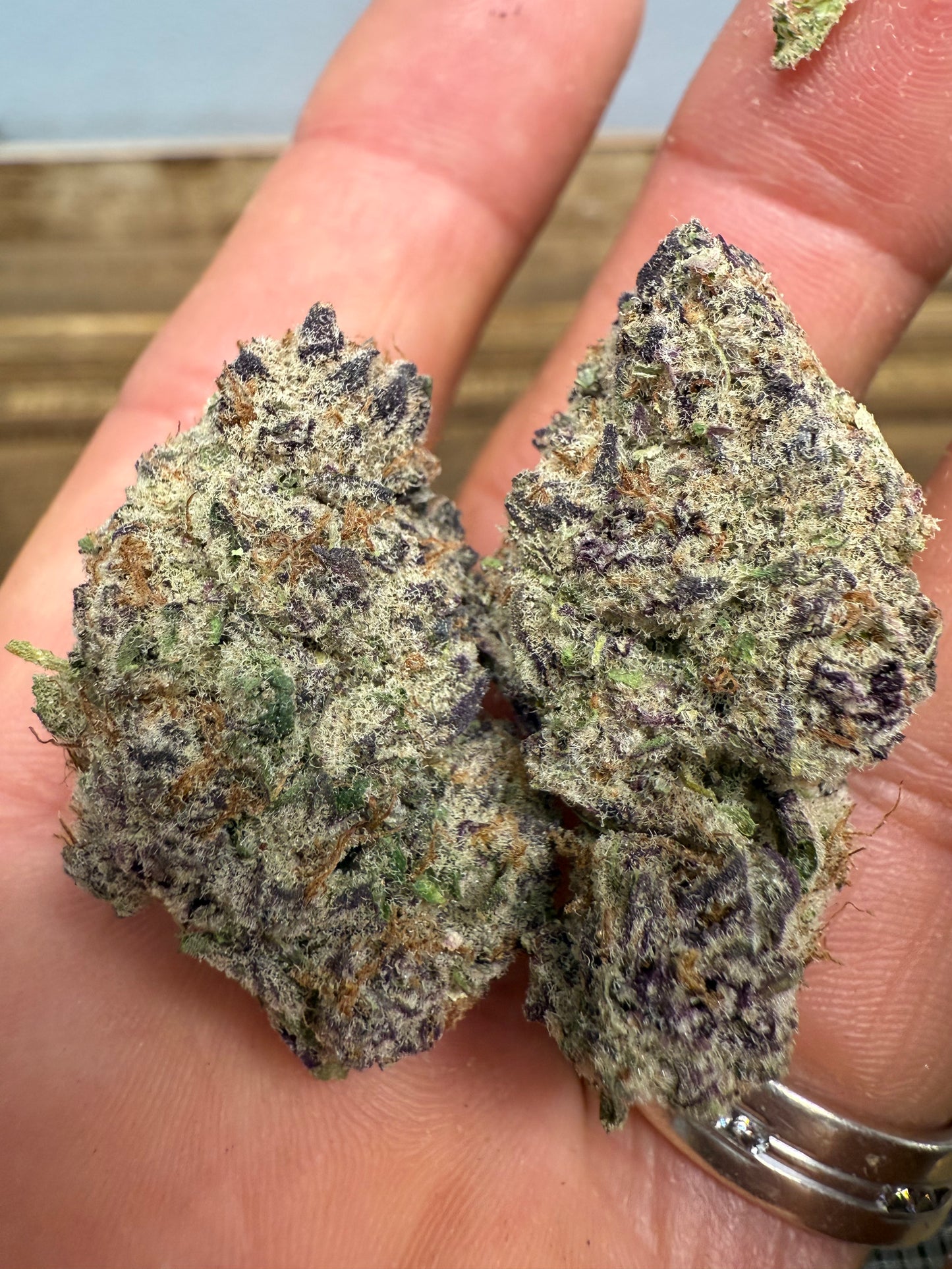Purple Punch – Exotic Indica Flower