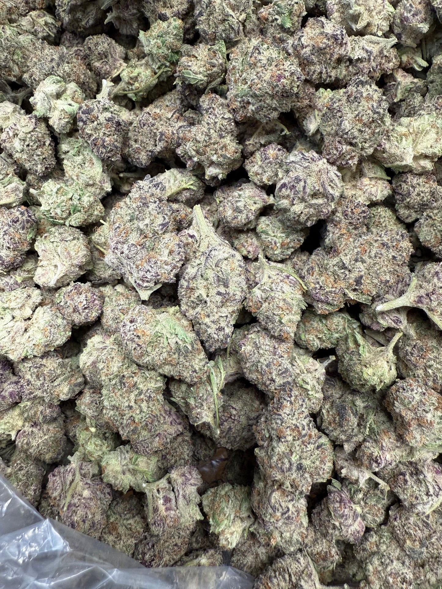 Purple Punch – Exotic Indica Flower
