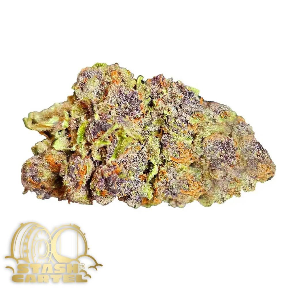 Trop Cherry – Exotic Hybrid Flower
