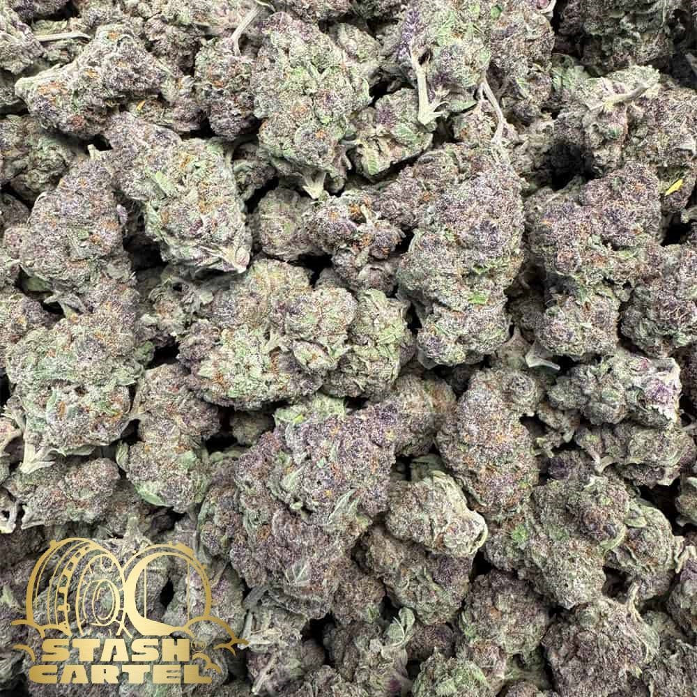 Trop Cherry – Exotic Hybrid Flower