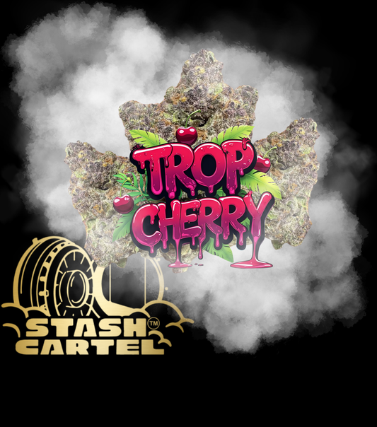 Trop Cherry – Exotic Hybrid Flower