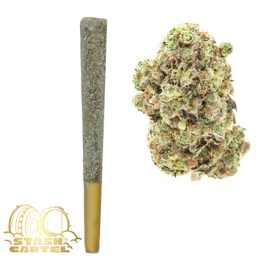 ❄️ Tropical Thunder THCA Iced Prerolls